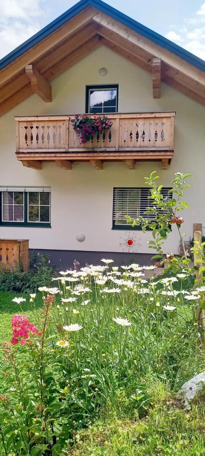 Apartment Schoenwetter Grosssolk エクステリア 写真